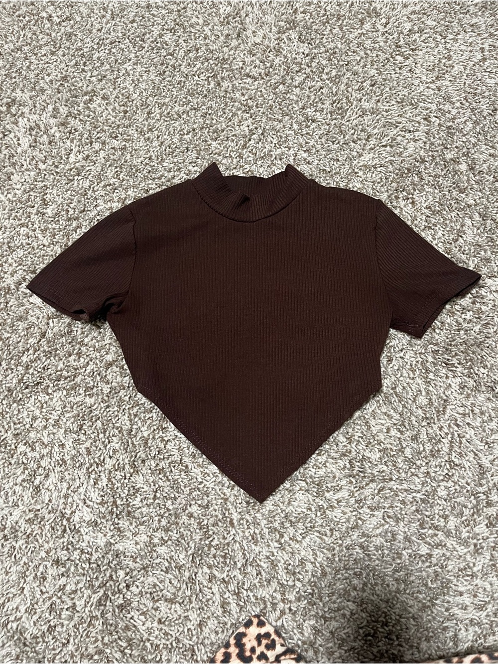 Forever 21 Chocolate Brown Ribbed Pointed Hem Crop Top